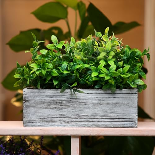 Lyrow 2 Pack 11.4 '' Artificial Eucalyptus Plants in Rectangular Rustic Wooden Planter Box Faux Potted Herb Plant Greenery Centerpiece for Cabinet Windowsill Table Shelf Wedding Decor (Whitewashed) - color: White, size: 11.4 ''