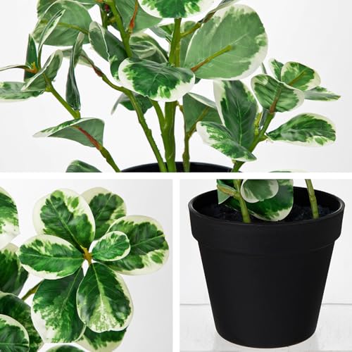 17" Artificial Rubber Plant in Black Pot, Faux Ficus Plant Potted with Cream White Edge Foliages, Fake Greenery Plant for Home Office Tropical Decor - size: 17" & Small