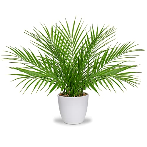 Briful Fake Plant 15’’ Artificial Palm Plant in White Pot Real Touch Faux Tropical Palm Tree Houseplant for Home Indoor Living Room Tabletop Balcony Decorations - color: White