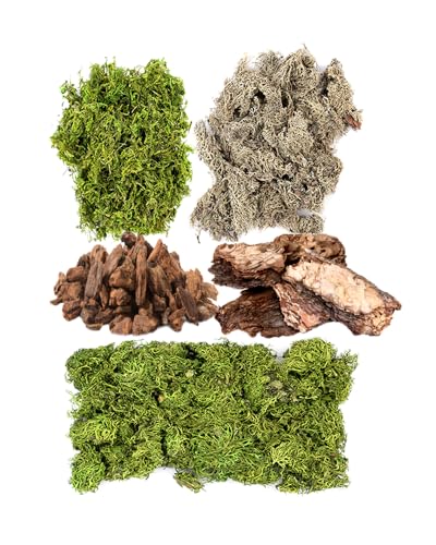 SuperMoss (23210) Moss Mix – Premium Decorative Moss for Crafts, Terrariums, Wedding & Table Décor, 200 cu in, Dried Mix - color: Dried Mix, size: 200 cu in
