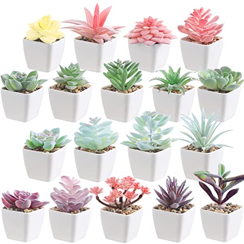 18 Set Artificial Faux Succulents in Pots Artificial Succulent Plant for Women Assorted Decorative Small Fake Plant Potted Faux Cactus Plant for Shelf Desk Room Bedroom Bathroom Office Decor (Cute)