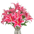 Artificial Lily Flowers,6 Pcs Faux Lily Flowers,23 Inch Long Stem Tiger Lily Branch with 3 Full Blooms and 4 Leaves, Latex Real Touch Lilium Flower for Wedding Bouquet (6, deep Pink) - color: Deep Pink