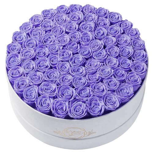 Prifroti 75 Preserved Roses in Suede Box – Luxury Rose Flower Arrangement, Preserved Flowers Gifts for Women, Wife or Mom – Birthday, Anniversary, Valentine’s Day, Mother's Day (Lavender) - color: Lavender, size: 75 Roses