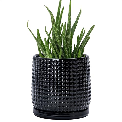 D'vine Dev 6 Inch Ceramic Beaded Stoneware Planter Pot - Flower Pot with Drainage Holes and Saucers for Indoor Succulent Plants or Flowers, Glossy Black, 27-C-X-2 - color: Glossy Black, size: 5.8 Inch