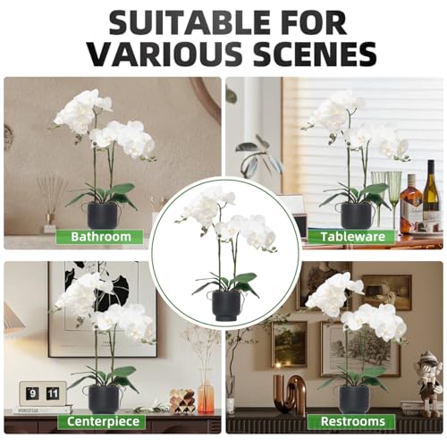 CXGS Orchids Artificial Flowers Real Touch Fake Flowers in Ceramic Pot 20" White Faux Orchid Plant Lifelike Silk Phalaenopsis for Centerpiece Hotel Home Indoor Decor - color: White- Black Vase
