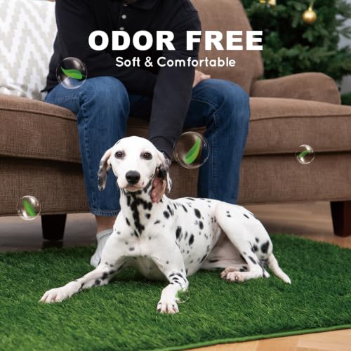 HQ4US 4LEGS Artificial Grass, Dog Pee Grass Pads for Dogs Potty, 2PCS Odor Free Fake Grass for Dogs X-Large 43”×32” with Countless Drainage Holes, Dog Potty Grass Hemmed Edge Realistic - size: XL - 43'' x 32'' for Dog＜ 38" Length