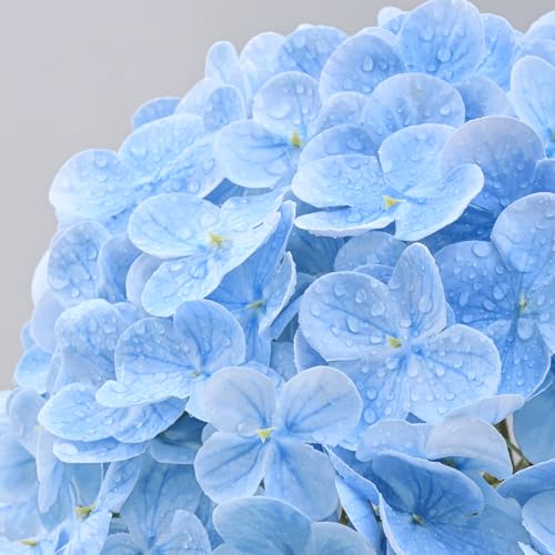 MARTINE MALL 3Pcs 21in Hydrangea Artificial Flowers, Latex Real Touch Hydrangeas Lifelike Large Hydrangea Flowers for Home Decor Party Arrangements Wedding Bouquets Centerpieces (Blue) - color: Blue, size: 3Pcs