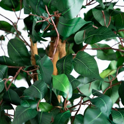 Nearly Natural 74in Artificial Triple Trunk Ficus Tree, Faux Greenery with Natural Wood Trunks for Indoor Home Decor - size: 6ft 2in, style: Tree in Pot