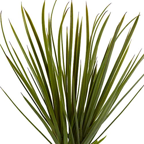 Nearly Natural 3ft. Yucca Tree, Green