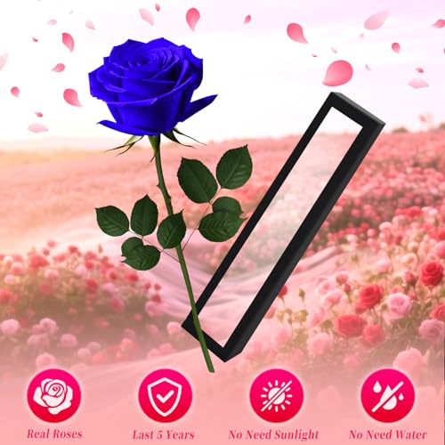 Blue Single Forever Roses in a Box,Preserved Flowers for Delivery,Preserved Rose Gifts for Women, Real Roses Gift for Her, Mom Birthday Gifts, Mothers Day Flowers,Valentines Flowers,Presents for Her - color: Blue-window