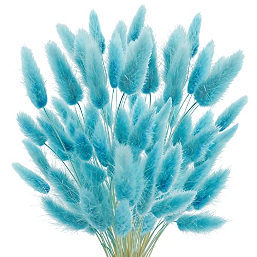 Uieke 120 Pcs Teal Blue Natural Bunny Tails Dried Flowers, 17inch Dried Pampas Grass Decor, Boho Blue Flowers Home Table Decor, Wedding Decorations for Home - color: Light Blue-120pcs