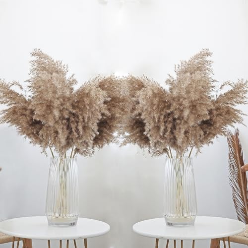30 Stems 28” inch Fluffy Brown Pampas Grass Decor Tall - Natural Dried Pampas Grass, Large Pompas Grass, Dry Pampas Bulk for Living Room Decor, Boho Home Decor , Wedding Decor , Gift( 30 Brown ) - size: 30pcs brown