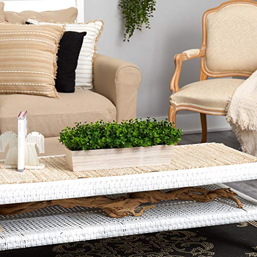 Nearly Natural 19in. Eucalyptus Artificial Plant in Decorative Planter (Pack of 2) - size: 19 in. W x 5 in. D x 8 in. H (Pack of 2)
