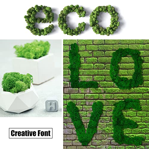 CCINEE Moss Preserved, 4 OZ Fake Reindeer Moss for Potted Plants for Craft Arts Floral Wall Decor Wedding Centerpieces Fairy Garden Artificial Terrariums Decoration for Christmas(Black) - color: Black