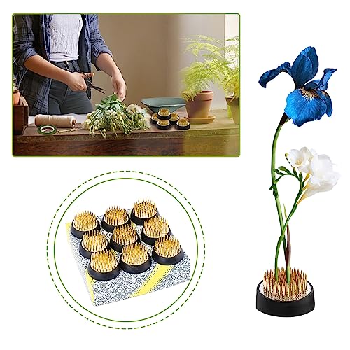 ZUDKSUY 9PCS 1.34inch/34mm Flower Frogs Arrangement Kenzan Flower Frog Floral Holders Ikebana Frog Pin Cushion Floral Frogs for Arrangements Vase Copper Pin Floral Arrangement Pin Holder Supplies - size: 9PCS-D34 Copper Pins