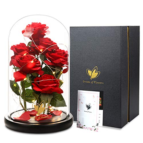 Mothers Day,Birthday Gifts for Women,Beauty and The Beast Rose,Artificial Silk Rose Preserved Forever in Glass Dome,Valentine's Day,Christmas,Anniversary,Flower Roses Gifts for Mom Wife Girlfriend - color: Rose Red