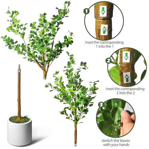 6 FT Artificial Heart Ficus Tree Indoor, Realistic Faux Plant with Dew Drops, Fake Tree with Pots for Home Office Decor