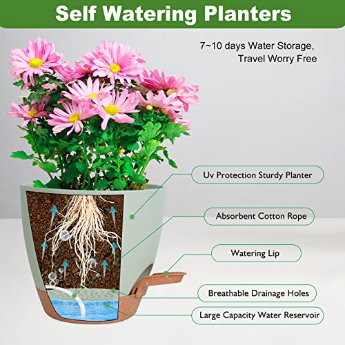 Vanslogreen Plant Pots Indoor 7/6.5/6/5.5/5 Inch Self Watering Planters for Indoor Plants with Drainage Hole, Plastic Flower Pots for Succulents, African Violet (Green) - color: Green-5pack, size: 7/6.5/6/5.5/5 inch
