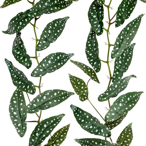 2Pcs Artificial Begonia Leaves Vines 4ft Fake Hanging Plant Ivy Vines Greenery Garland Faux Tropical Vine Decor for Wall Jungle Luau Beach Birthday Party Indoor Outdoor Home Décor - color: Begonia