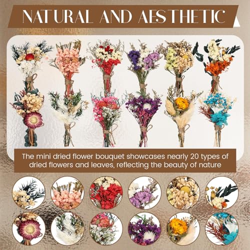 Layhit 12 Pcs Boho Dried Flower Bouquet Mini Wedding Handmade Dry Flowers Decor for Vase Crafts DIY Photo Boutonniere for Men Floral Plant for Bridesmaid Gift Birthday Decor(Colorful) - style: Colorful