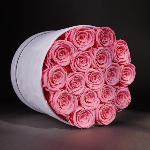 Prifroti 17 Flowers in a Luxury Suede Box, Birthday Gifts for Women, Preserved Flowers, Mothers Day Roses Gift for Mom, Light Pink - color: Light Pink, size: 17 Roses