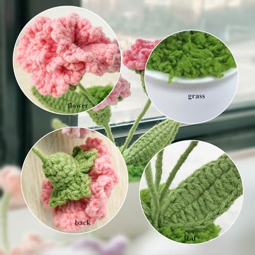 Joekaran Crochet Flowers Cute Little Potted Flower, Birthday Gifts for Women, Mother's Day, Teacher’s Day, Graduation, Anniversary, Desk Decor, Home Office Decoration (Rose red Gradient Carnation) - color: Rose Red Gradient Carnation