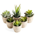 Artificial Succulents Plants Potted Set-Decorative Fake Succulent Plant Faux Plastic Plant Indoor &Outdoor for House Office Desk Bathroom Kitchen DIY Decor Gift Set of 6