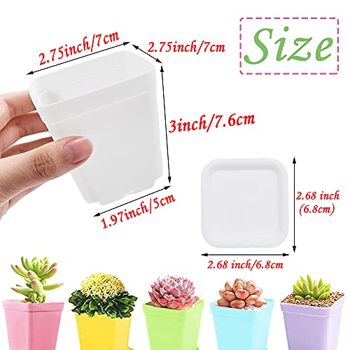 Haawooky 48 PCS 3 Inch Colorful Plastic Plant Pot,Plastic Square Nursery Pots,Seedling Nursery Pots with Saucers for Garden,Home,Office,Balcony Decor,Garden Gifts - size: 48 pack