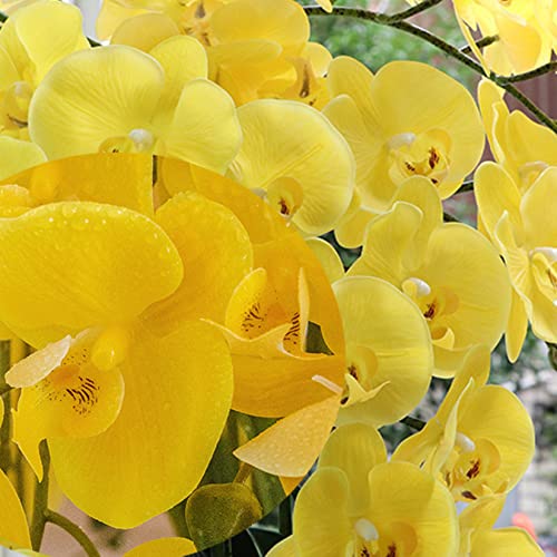 FagusHome 32 Inch Artificial Phalaenopsis Flowers 6 Pcs Artificial Orchid Flowers Stem Plants for Home Décor (Yellow) - color: Yellow