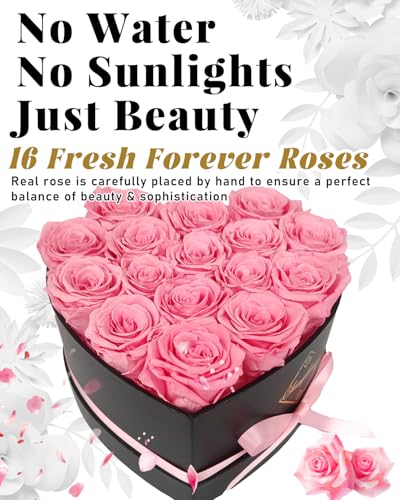 Changshunqi 16 Flowers Preserved Roses Gifts for Women, Pink Forever Flowers Womens Birthday Gifts for Women Wife Friends Preserved Flower Rose Gift for Mom Her Wife gf - color: Blush Pink