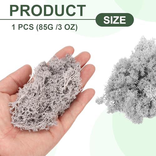 MECCANIXITY 3oz Preserved Reindeer Moss, Light Grey Decorative Artificial Fake Moss for Potted Plants Indoor Crafts Lichen Centerpieces Decor - color: Light Grey, size: 3oz