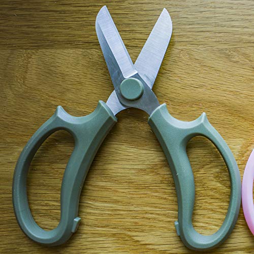 Leize Flower Scissors, Premium Thickened Stainless Steel Floral Shears, Strong Pruner for Flowers, Branches and Leaves (Grey Green) - color: Grey Green