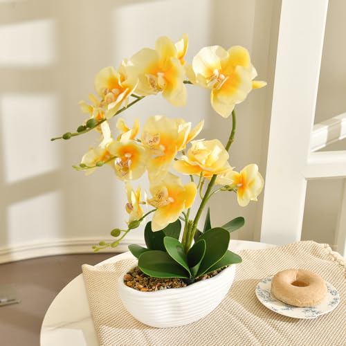 19" H Phalaenopsis Faux Orchid Plant Silk Orchid Centerpiece Artificial Floral Arrangement in Ceramic Pot (Yellow) - color: Yellow