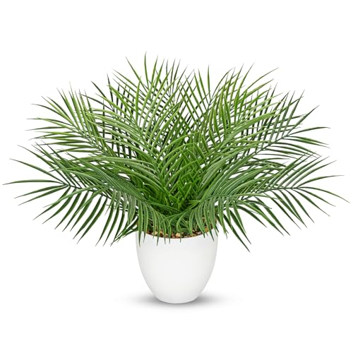 Briful Artificial Palm Plant in White Pot, 18” Faux Tropical Tabletop Plant with 14 Realistic Leaves, Small Potted Palm Tree for Farmhouse, Coffee Table, Entryway, Bathroom, Shelf & Living Room Decor - color: 18'' Tall White
