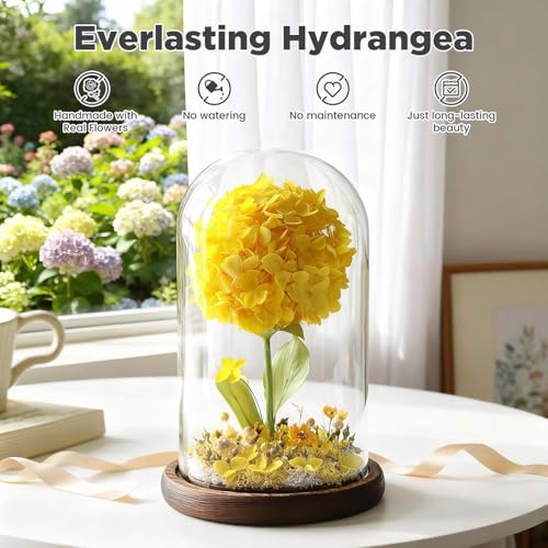 Forever Hydrangeas in Glass Dome,Forever Preserved Flowers Gifts Mothers Day Birthday for Grandma Women Mom Wife,Fresh Flowers for Delivery/Yellow Hydrangea - color: Yellow