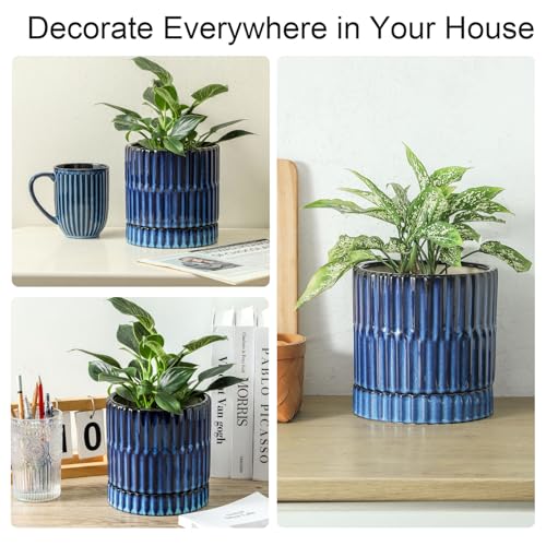 HASENSE Ceramic Plant Pots Set of 3 (8+6+4.6 Inch), Flower Planters with Drainage Hole and Saucer, Indoor Planter Pots for Succulents, Herbs, Ideal for Home Office Desktop Garden Decor(Blue) - color: White (Ribbed)