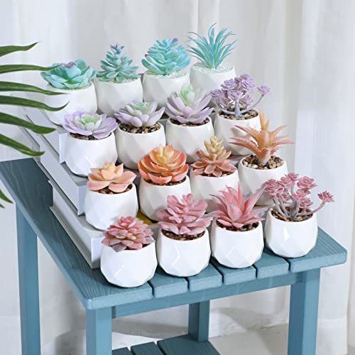 VIVERIE Mini Orange Artificial Succulent in Pots (White Ceramic, 4 Pot Set) Fake Plants for Indoors, Office Home Halloween/Christmas Decor Gifts-Faux Plant Gifts for Women - color: Orange