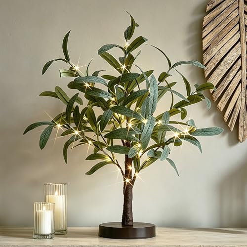 Hairui Lighted Small Olive Tree Battery Operated or USB 18in 50 Warm White LED with Timer, Light Up Table Top Artificial Greenery Tree with Fairy Lights for Wedding Holiday Home Christmas Decoration - color: 50l-green