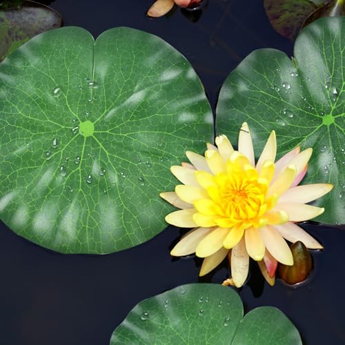 20 Pcs Realistic Lily Pads Leaves for Ponds, 4 Kinds Artificial Floating Foam Lotus Leaves, Water Lily Pads Foliage Pond Decor for Pond Pool Koi Fish Patio Aquarium