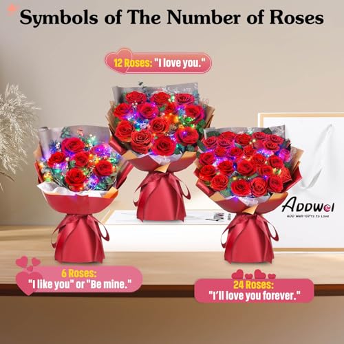 ADDWel 24 Preserved Red Roses Bouquet - Real Roses That Last 3+ Years, Romantic Anniversary & Birthday Gifts for Women, Wife, Girlfriend - Two Dozen Infinity Flowers for Delivery - color: Preserved Red Roses Bouquet - 24 Roses