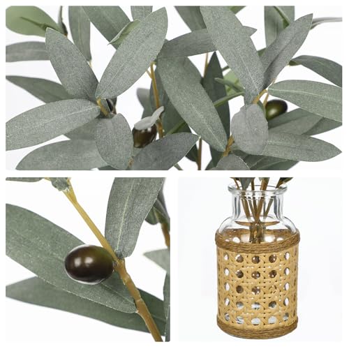 Hollyone Artificial Olive Branch in Woven Glass Vase with Faux Water 11.8" Fake Plants Olive Leaves Stems for Indoor Shelf Desk Home Bathroom Wedding Table Centerpiece Decor - color: Green #2