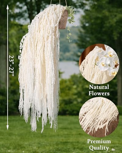 12PCS Dried Amaranthus Hanging Flowers - 23" Ivory White Preserved Floral Stems for Wedding Arch, Wall Decor, Centerpiece Arrangements, Garland, Home Vase Filler - color: 12pcs Ivory White