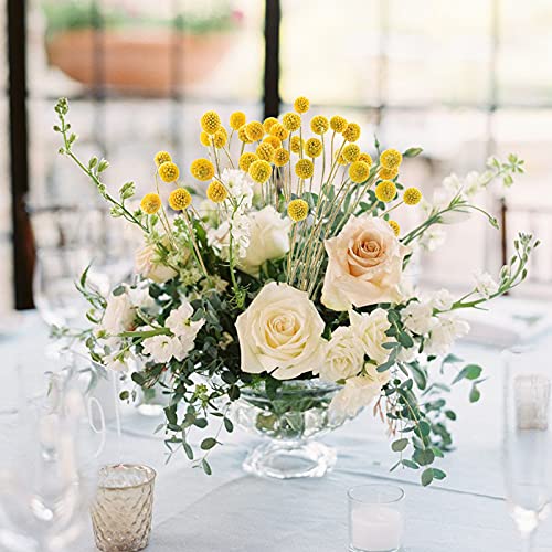Uieke 40Pcs Natural Dried Flowers Dried Craspedia Billy Balls Flowers, Dried Billy Buttons 16" Yellow Flowers Arrangements for Farmhouse Wedding Home Party DIY Decor - color: Yellow-11mm-40pcs