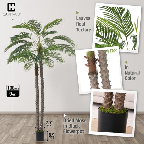 CAPHAUS 9FT Artificial Phoenix Palm Tree, Double Stem Faux Palm with Black Pot, Realistic Fake Plant for Indoor Outdoor Home Office Patio Décor, Low Maintenance Large Artificial Palm Tree - size: 9ft
