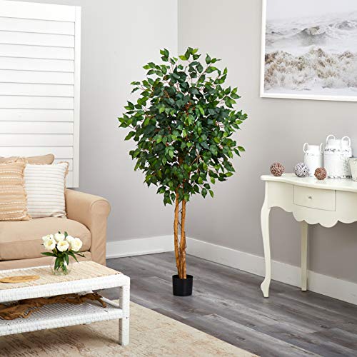 Nearly Natural 5ft Artificial Ficus Tree, Triple Trunk Faux Greenery with Natural Wood Trunks for Indoor Home Decor, with Black Nursery Pot - size: 5ft, style: Tree in Pot