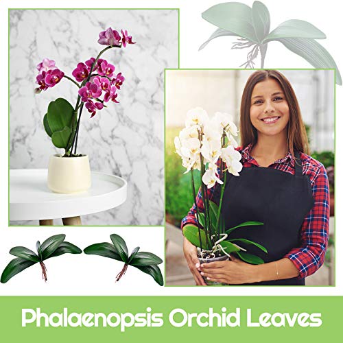 Chuangdi 6 Pcs 10.9 Inch Faux Orchid Leaves Artificial Orchids Leaves Phalaenopsis Stems Leaf Green Leaf Plants Green Faux Stem Latex Cymbidium Stems for Flowers Arrangements Pot Decoration - size: 10.9 Inch