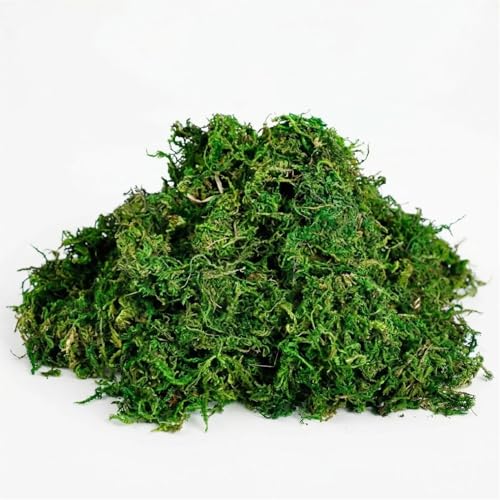 Artificial Moss, Fake Green Moss for Fairy Garden, Crafts, DIY Terrariums, Floral Arrangements, Waterproof Colorfast Moss Decor for Indoor Plants, Reusable, Green, 3.52 Oz - color: Green 3.52 Oz