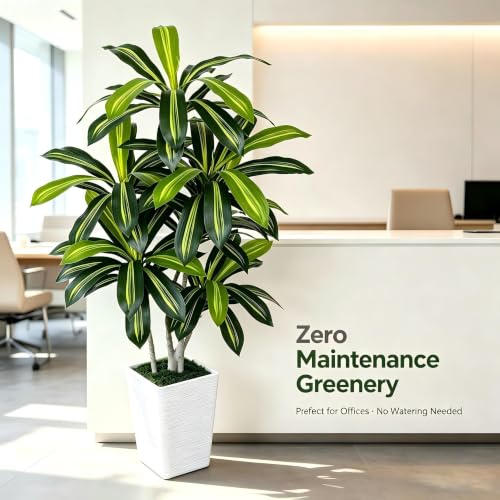 6ft Artificial Dracaena Tree, Realistic Faux Dragon Tree in Pot, 72 Inch Large Fake Silk Tree for Indoor Home Office Decor, Modern Floor Plant for Corner, Housewarming - color: White