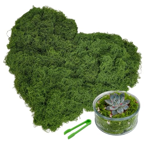 Fake Moss for Potted Plants, 10.6OZ Dark Green Artificial Moss for Crafts Faux Moss Decoration DIY Crafts Model, Table Centerpieces, Plants Art Landscape, Dollhouse, Fairy Garden-300g - color: Dark Green, size: 10.6oz