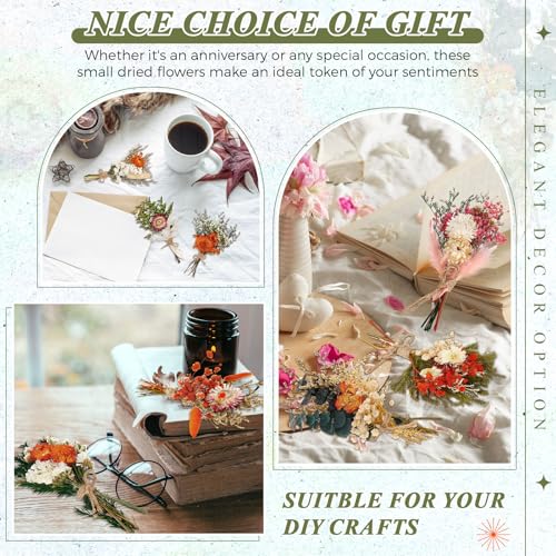 Layhit 24 Pcs Boho Dried Flower Bouquet Mini Wedding Handmade Dry Flowers Decor for Vase Crafts DIY Photo Boutonniere for Men Floral Plant for Bridesmaid Gift Birthday Decor (Gerbera Daisy) - style: Gerbera Daisy